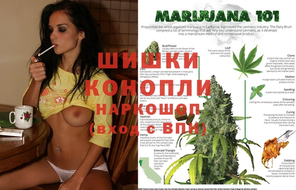 индика Алексин