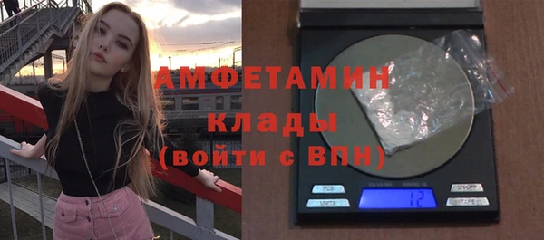индика Алексин