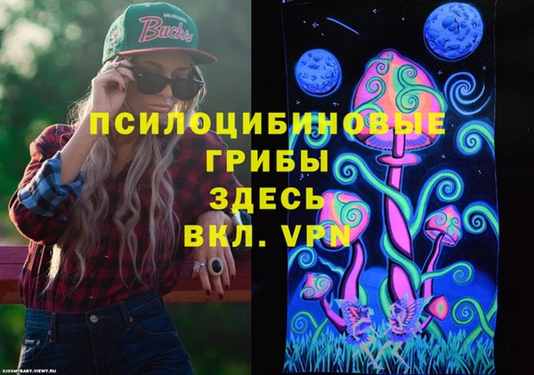 мдпв Приозерск