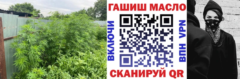 продажа наркотиков  Шахунья  ТГК жижа 